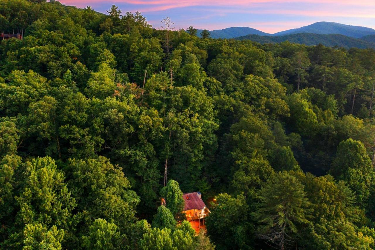 Cozy Cabin Retreat - Hot Tub, Fireplace & Fire Pit Blue Ridge Kültér fotó